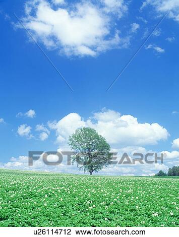 Blue sky View Large Photo Image Stock Image - Blue sky. Fotosearch