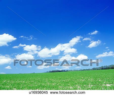 Blue sky View Large Photo Image Stock Photography - Blue sky. Fotosearch