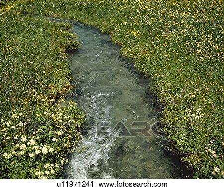 Stock Image - Brook. Fotosearch