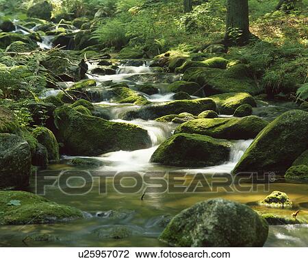 Stock Image - Mountain stream. Fotosearch