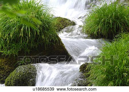 Stock Photo - Mountain stream. Fotosearch