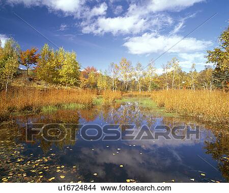 Picture - Norikura highland. Fotosearch