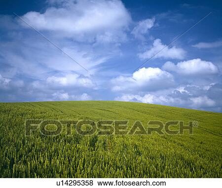 Stock Photo - Rural landscape. Fotosearch
