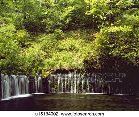 Stock Image - Shiraito falls. Fotosearch