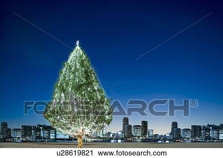 Stock Image - Christmas tree. Fotosearch