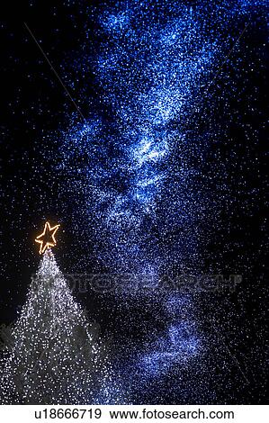 Stock Photo - Christmas tree. Fotosearch