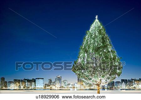 Christmas tree View Large Photo Image Stock Photograph - Christmas tree. Fotosearch
