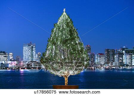 Christmas Tree View Large Photo Image Stock Photography - Christmas Tree. Fotosearch