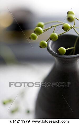 Kaiseki View Large Photo Image Stock Photo - Kaiseki. Fotosearch