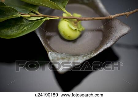 Stock Photo - Kaiseki. Fotosearch