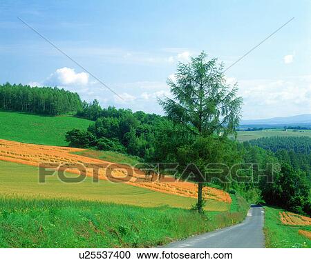 Blue sky View Large Photo Image Stock Image - Blue sky. Fotosearch