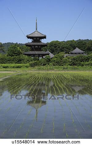 Horyuji View Large Photo Image Picture - Horyuji. Fotosearch
