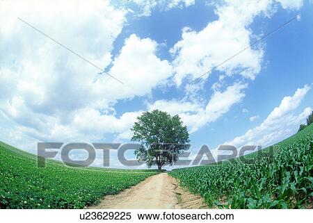 Road View Large Photo Image Stock Photography - Road. Fotosearch