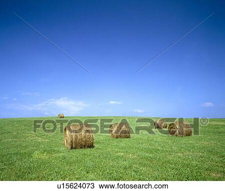 Stock Image - Rural landscape. Fotosearch