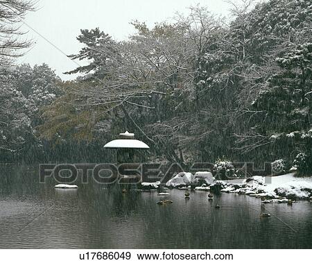 Stock Photo - Shinjuku Gyoen. Fotosearch