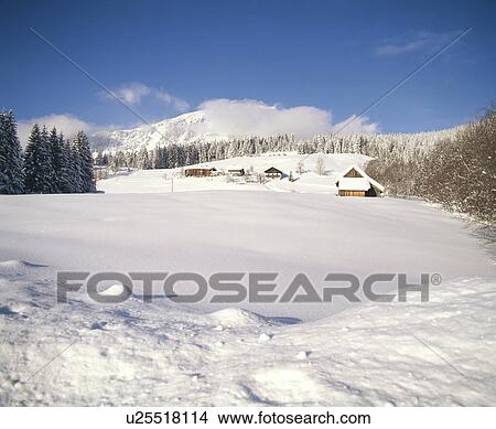 Snowy field View Large Photo Image Picture - Snowy field. Fotosearch