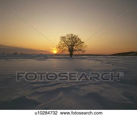 Snowy field View Large Photo Image Stock Image - Snowy field. Fotosearch