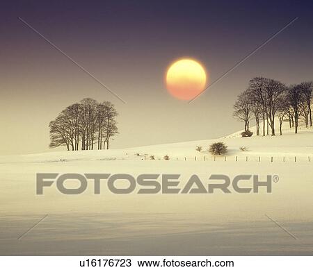 Snowy field View Large Photo Image Stock Image - Snowy field. Fotosearch