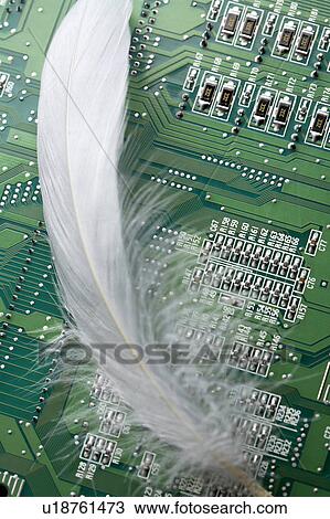 Stock Image - Feather and circuit board. Fotosearch