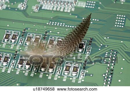 Feather and circuit board View Large Photo Image Stock Photo - Feather and circuit board. Fotosearch