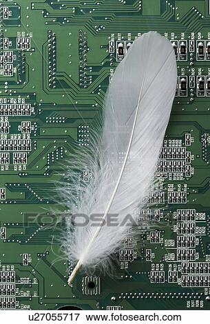 Stock Photo - Feather and circuit board. Fotosearch