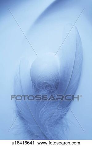 Feather and egg View Large Photo Image Stock Image - Feather and egg. Fotosearch