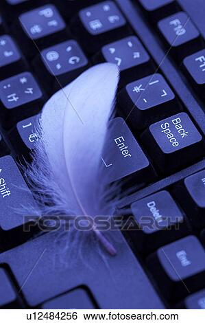 Stock Photograph - Feather and keyboard. Fotosearch