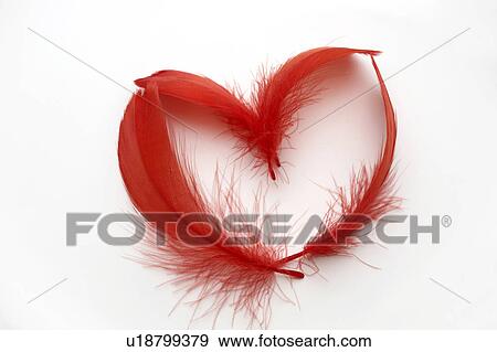 Feather View Large Photo Image Stock Photo - Feather. Fotosearch