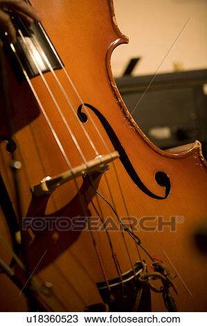 Stock Image - Contrabass. Fotosearch