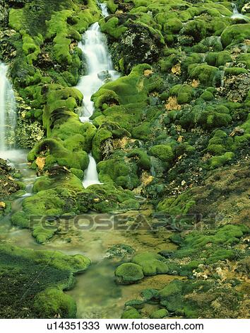 Mountain stream View Large Photo Image Stock Image - Mountain stream. Fotosearch