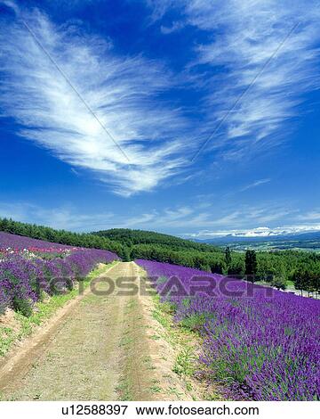 Stock Photo - Blue sky. Fotosearch