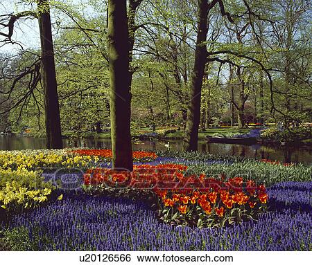 Flower garden View Large Photo Image Stock Photograph - Flower garden. Fotosearch