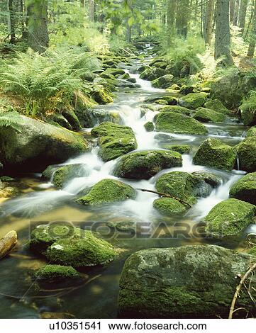 Mountain stream View Large Photo Image Stock Image - Mountain stream. Fotosearch