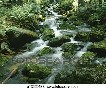 Mountain stream View Large Photo Image Stock Image - Mountain stream. Fotosearch