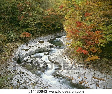 Stock Image - Nakatsukawa ravine. Fotosearch