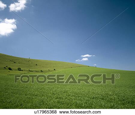 Rural landscape View Large Photo Image Stock Photo - Rural landscape. Fotosearch