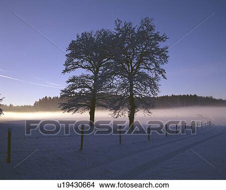 Picture - Snowy landscape. Fotosearch