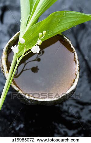 Stock Image - Lily of the valley. Fotosearch