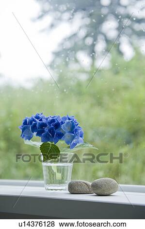 Stock Photo - Hydrangea and stone near the window. Fotosearch