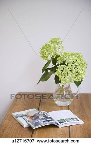 Stock Photo - Hydrangea. Fotosearch