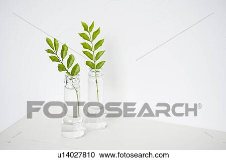 Stock Image - Japanese ash in two bottles. Fotosearch