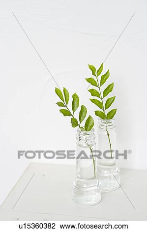 Stock Image - Japanese ash in two bottles. Fotosearch
