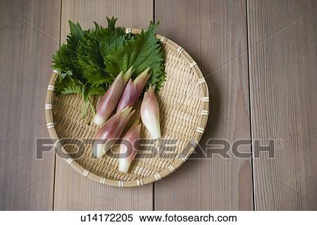 Stock Photography - Japanese ginger and perilla. Fotosearch