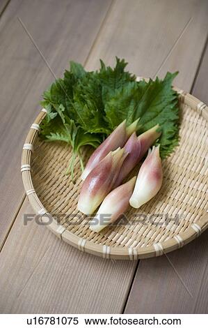 Japanese ginger and perilla View Large Photo Image Stock Photography - Japanese ginger and perilla. Fotosearch