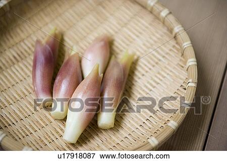 Japanese ginger View Large Photo Image Stock Photo - Japanese ginger. Fotosearch