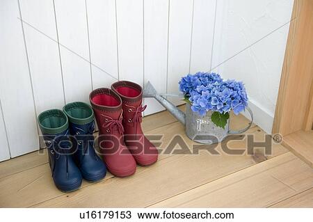 Stock Image - Rain boots and hydrangea. Fotosearch