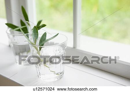 Picture - Two glasses near the window. Fotosearch