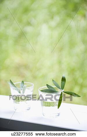 Two glasses near the window View Large Photo Image Stock Photography - Two glasses near the window. Fotosearch