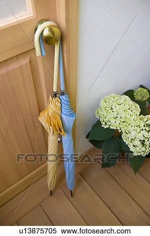 Umbrella and hydrangea in front of door View Large Photo Image Stock Photography - Umbrella and hydrangea in front of door. Fotosearch