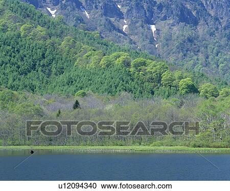 "Forest and Pond, Nagano, Japan" View Large Photo Image Stock Image - "Forest and Pond, Nagano, Japan". Fotosearch